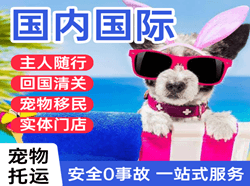 庆阳航空运输国际宠物托运 【国
